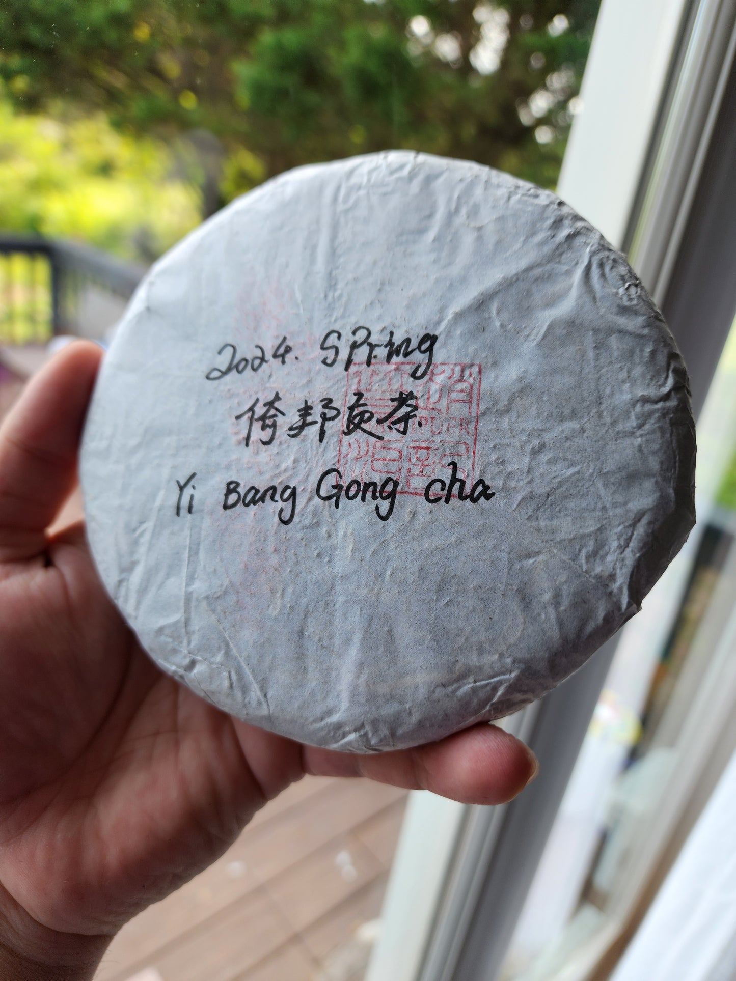 Yibang Mountain Ancient Tree Mansong Sheng Pu'erh Spring 2024 -25g