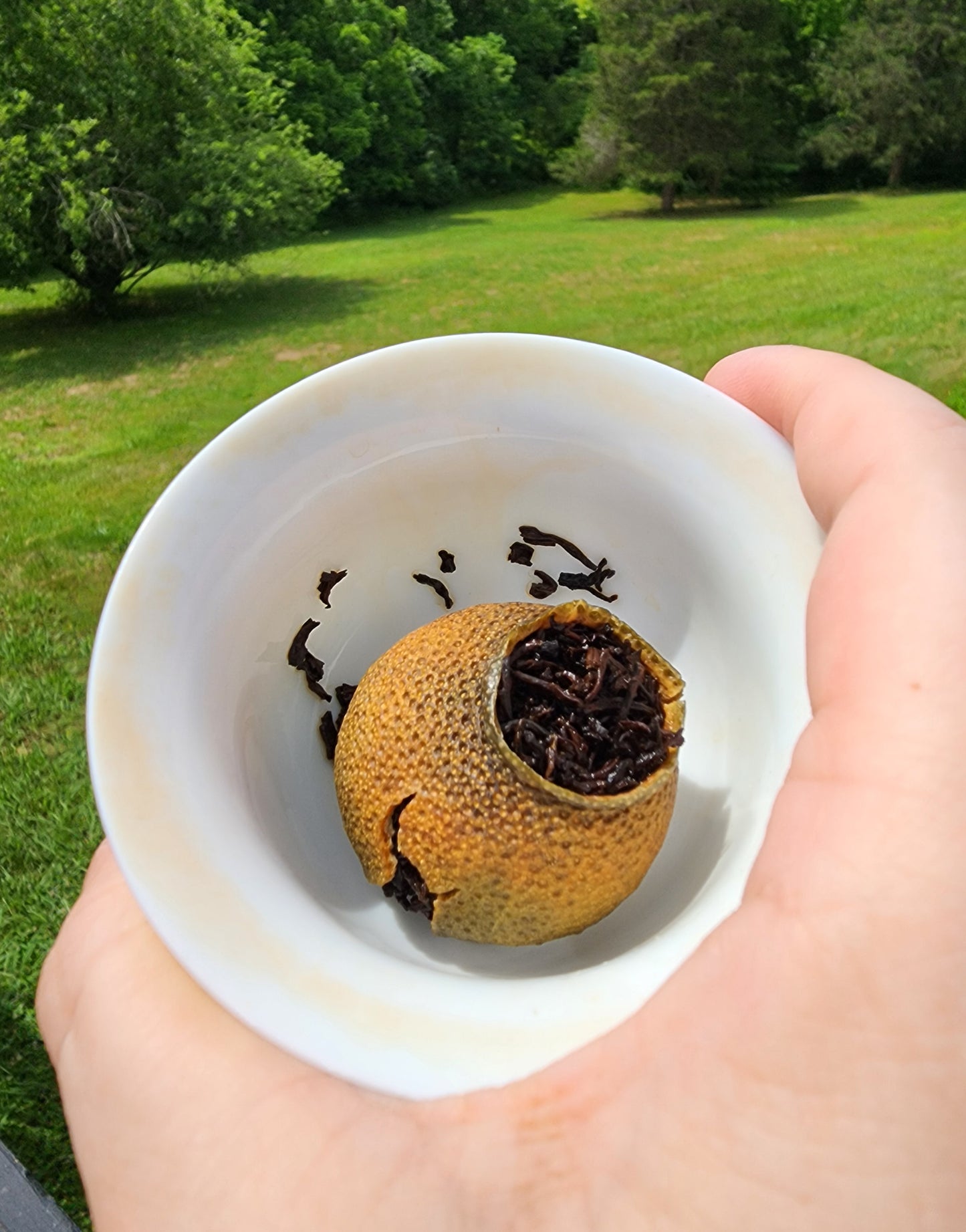 2012 Mandarin Orange Ripe Pu'erh