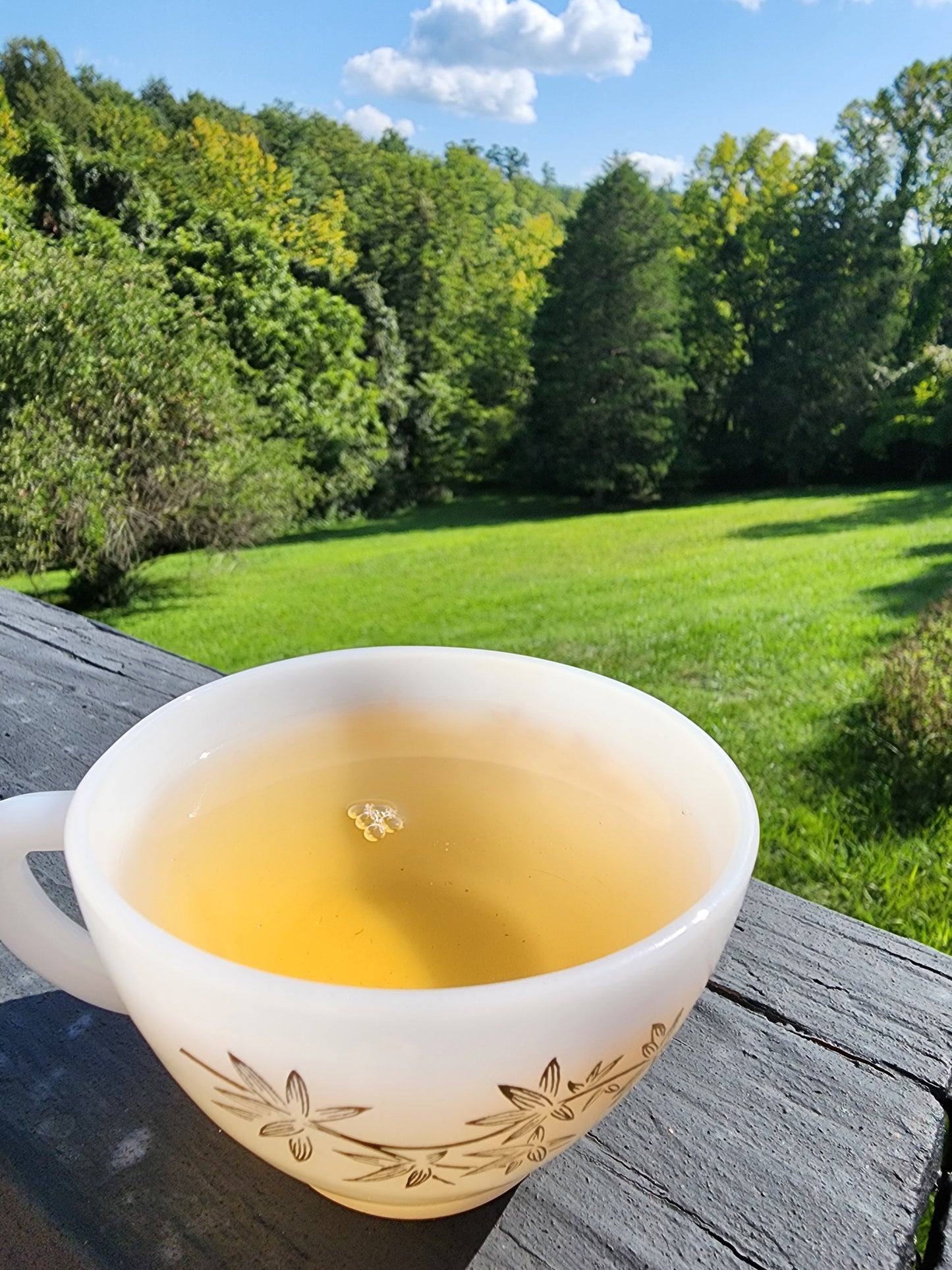 Wudongcun Village Ao Fu Hou Dancong Oolong -25g