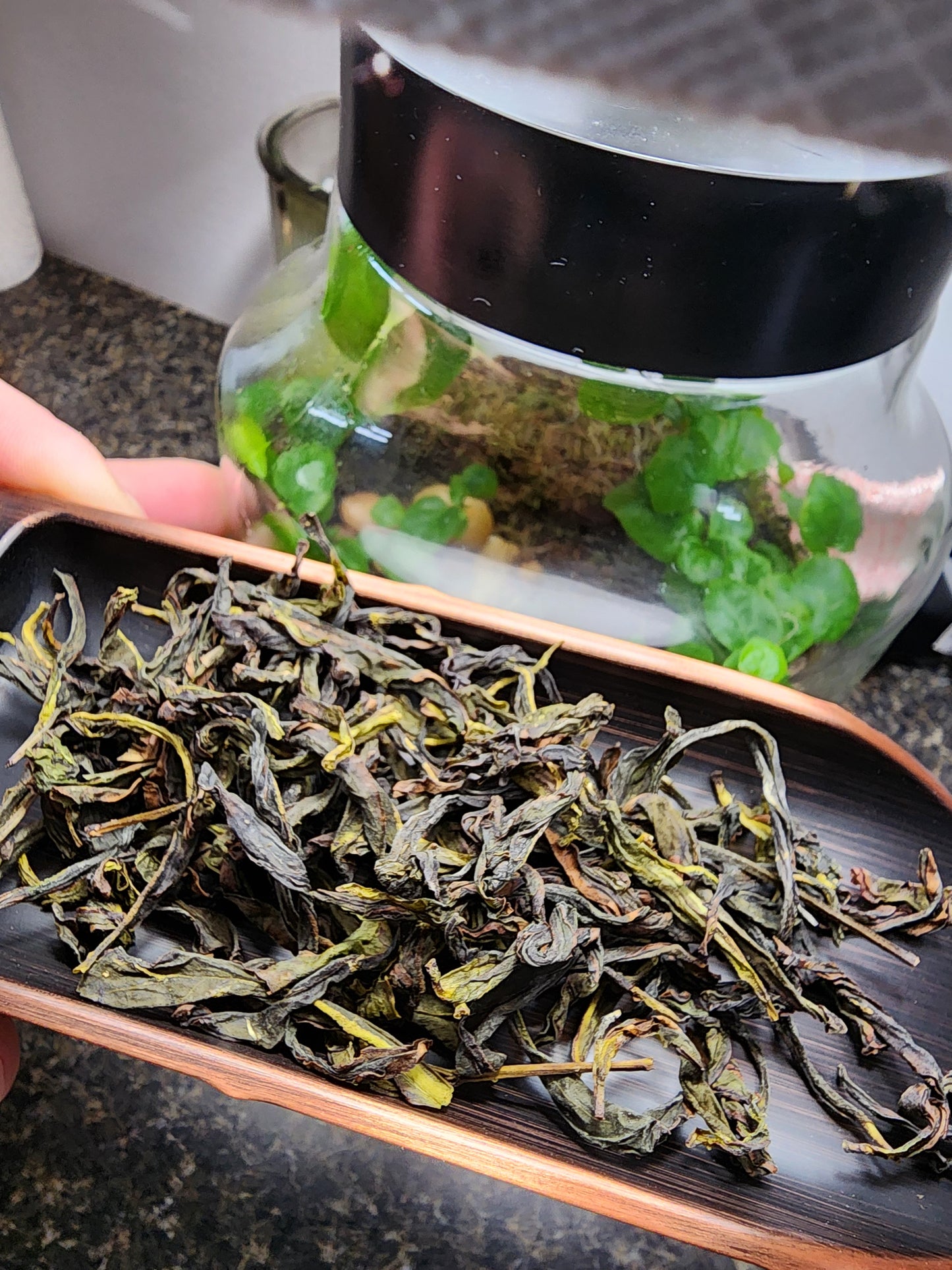 Xue Da Wu Ye Dancong Oolong (Snowflake Oolong) - 25g