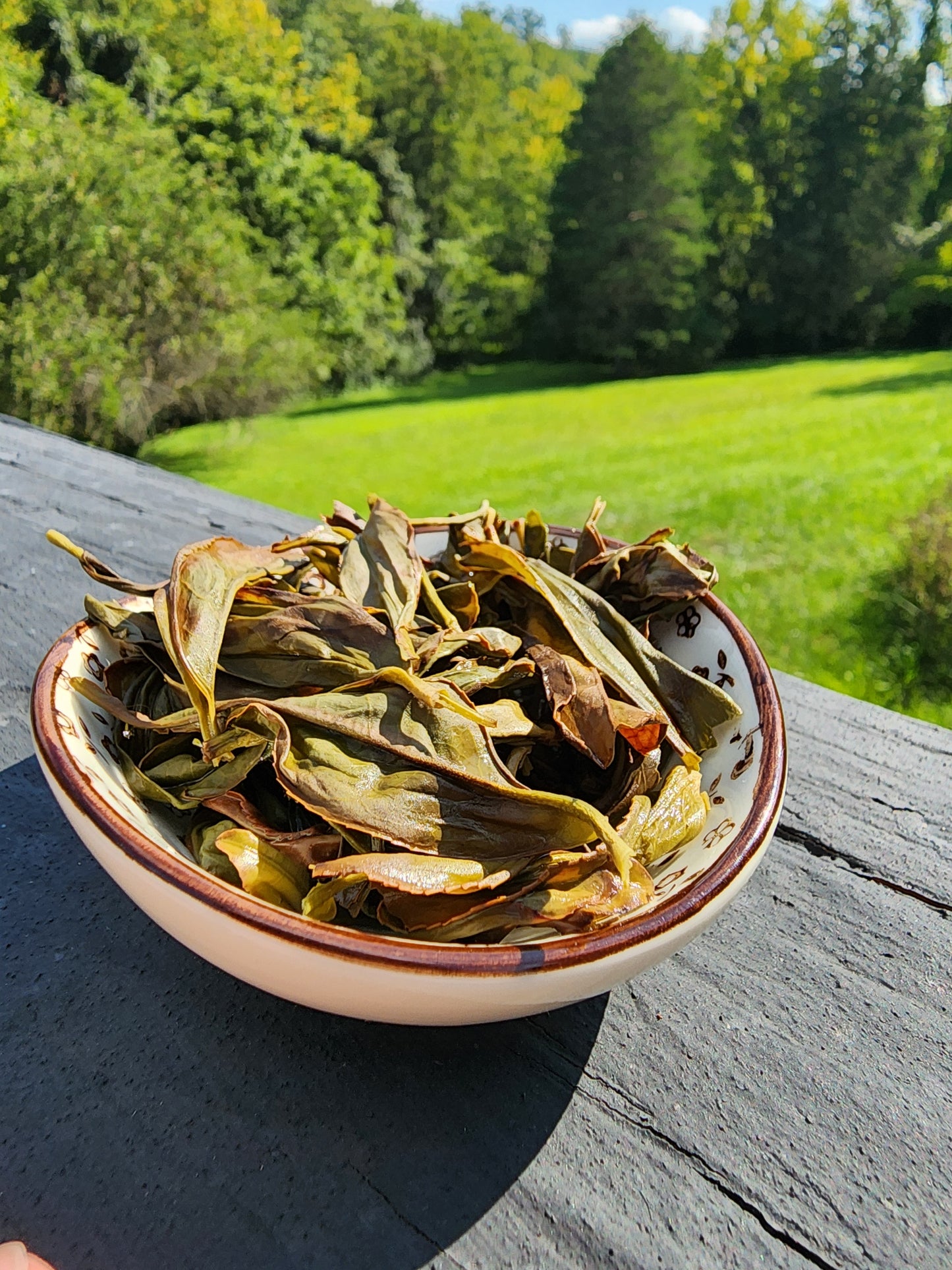 Wudongcun Village Ao Fu Hou Dancong Oolong -25g