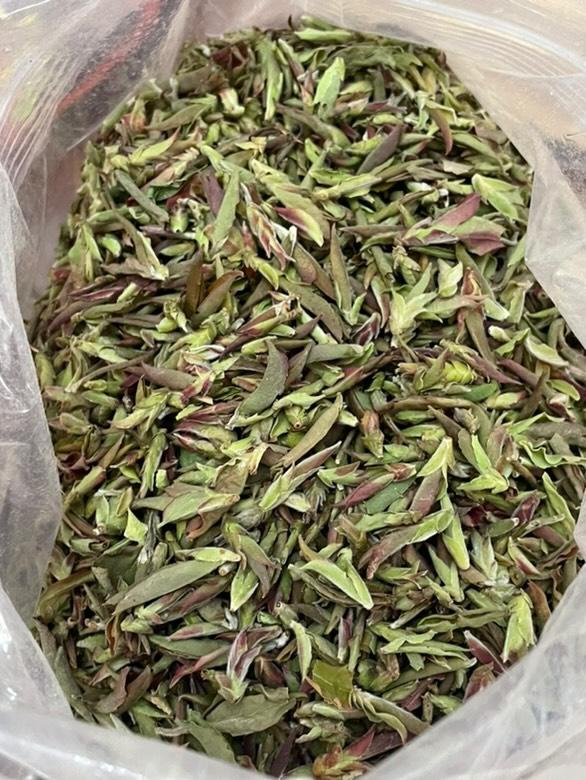 2025 Raw/Sheng Purple Ya Bao -25g