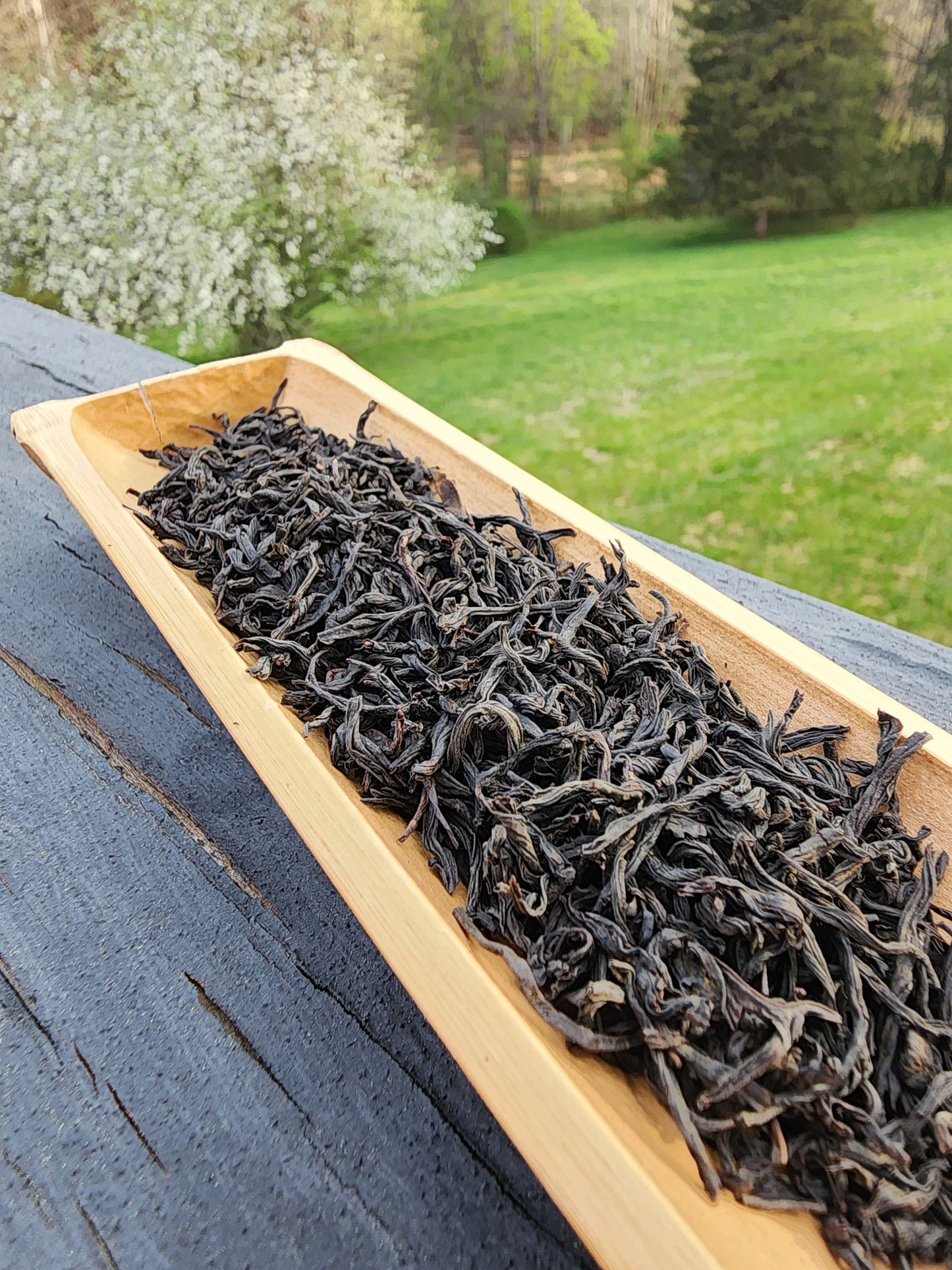 Wudongcun Village Black Tea -25g