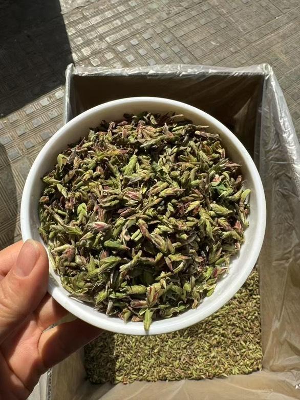 2025 Raw/Sheng Purple Ya Bao -25g