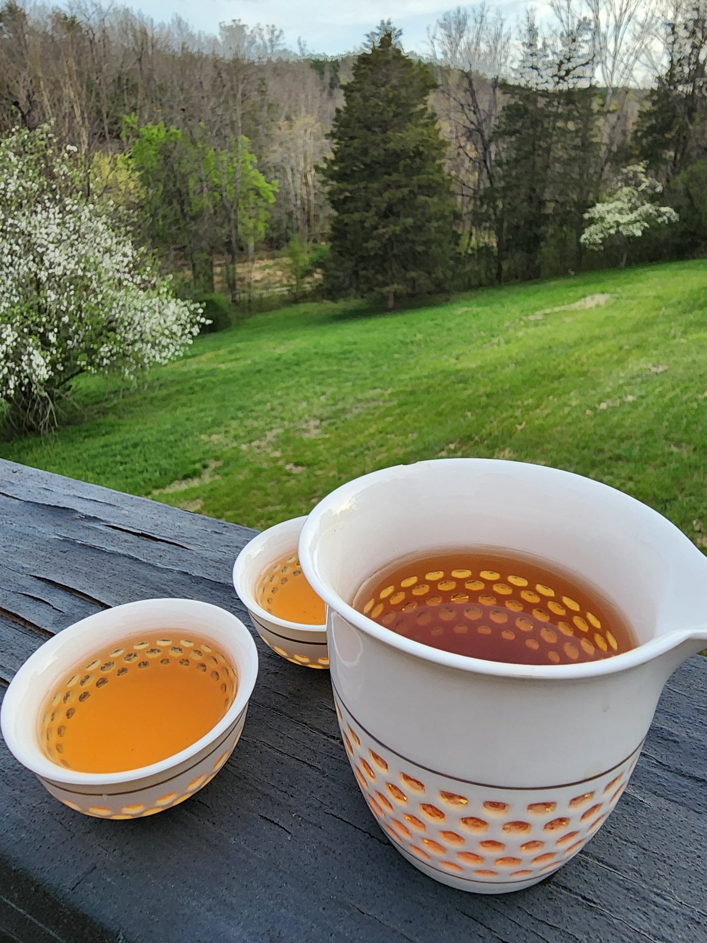 Wudongcun Village Black Tea -25g