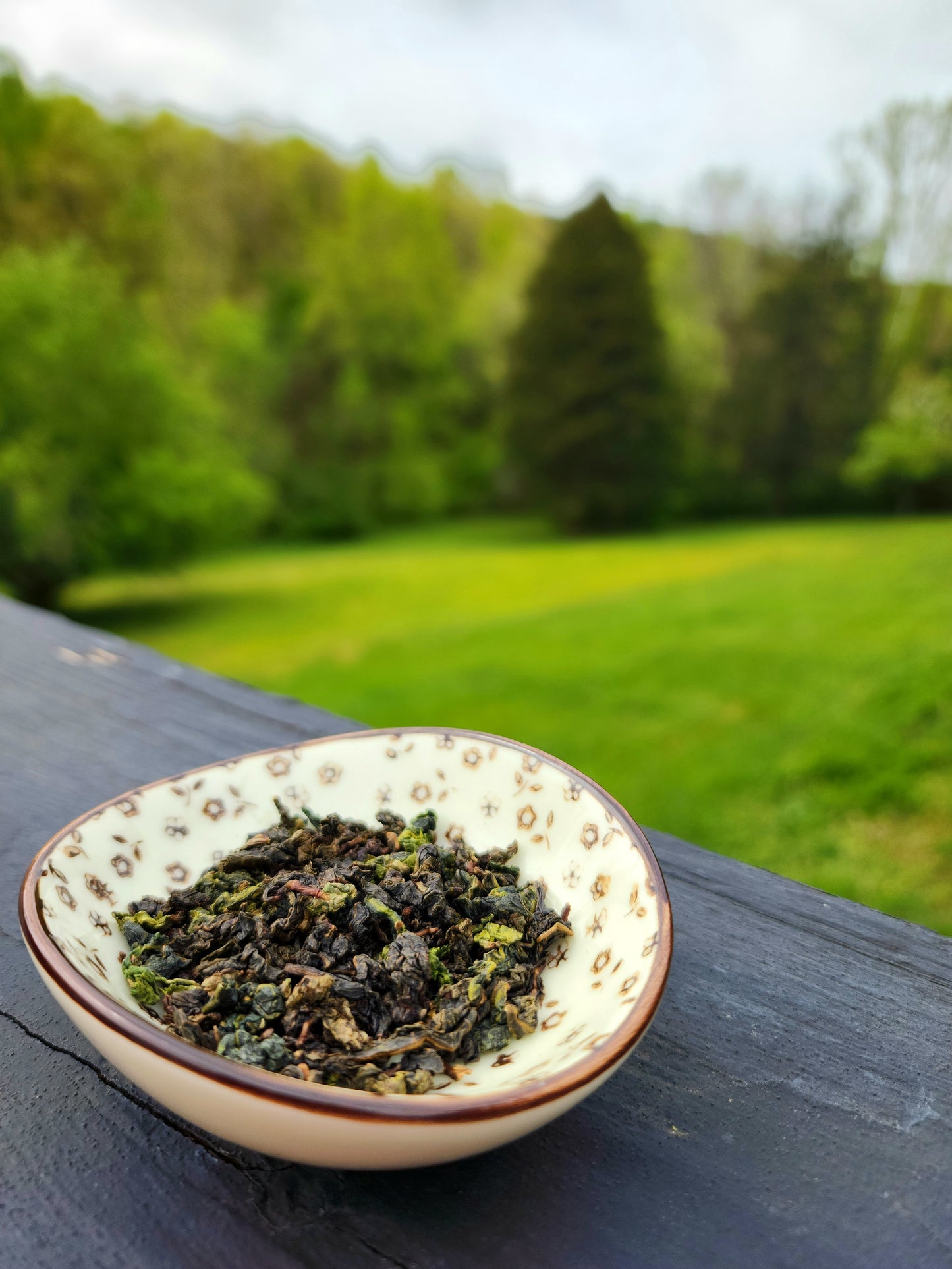 Anxi Tie Guan Yin Oolong-25g