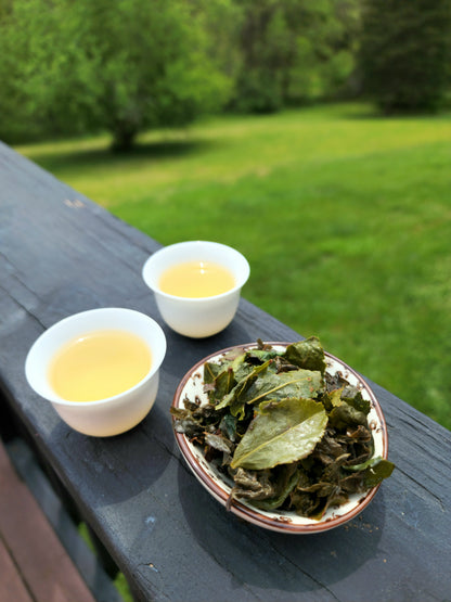 Anxi Tie Guan Yin Oolong-25g