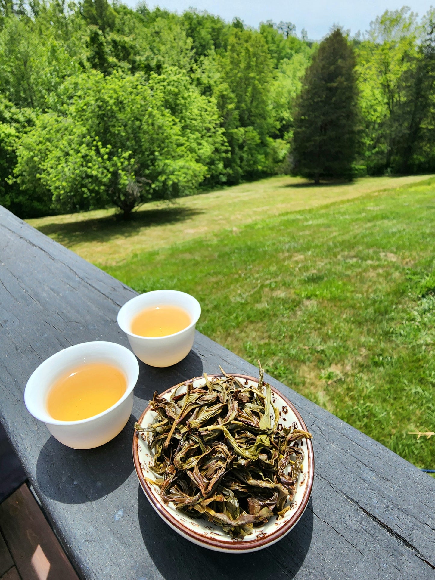 Wudongcun Village Mi Lan Xiang Dancong Oolong -25g