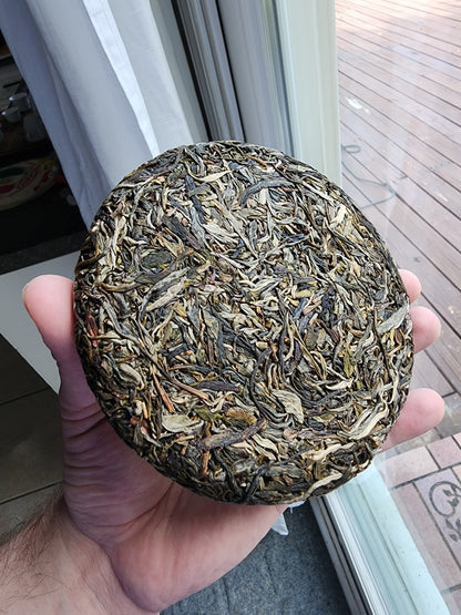 Yibang Mountain Ancient Tree Mansong Sheng Pu'erh Spring 2024 Picking