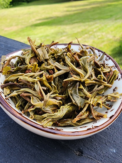 Yibang Mountain Ancient Tree Mansong Sheng Pu'erh Spring 2024 Picking