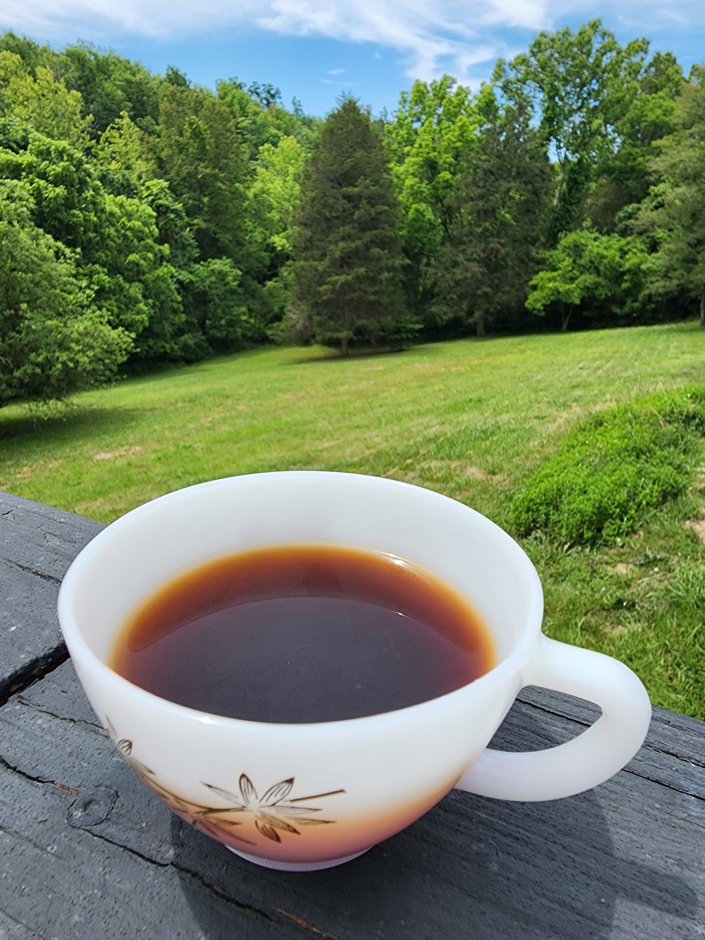 2012 Mandarin Orange Shou Pu'erh