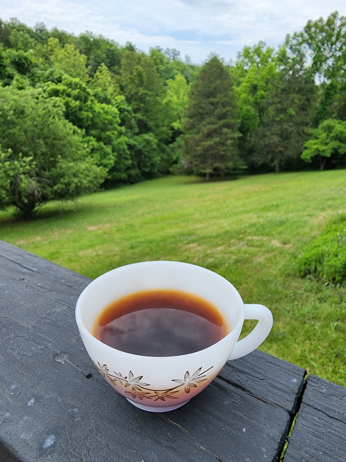 2011 Wild Tree Ripe Pu'erh mini ball