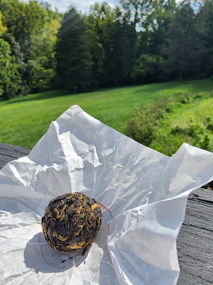 2024 Yiwu Gushu black tea mini balls