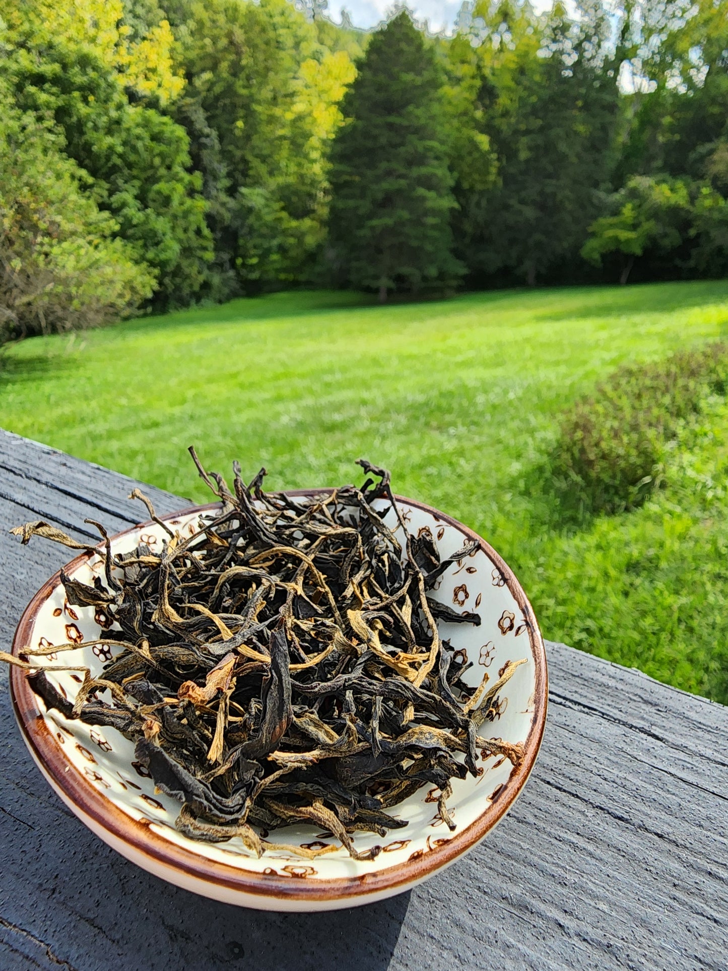 2024 Yiwu Gushu black tea loose leaf -25g