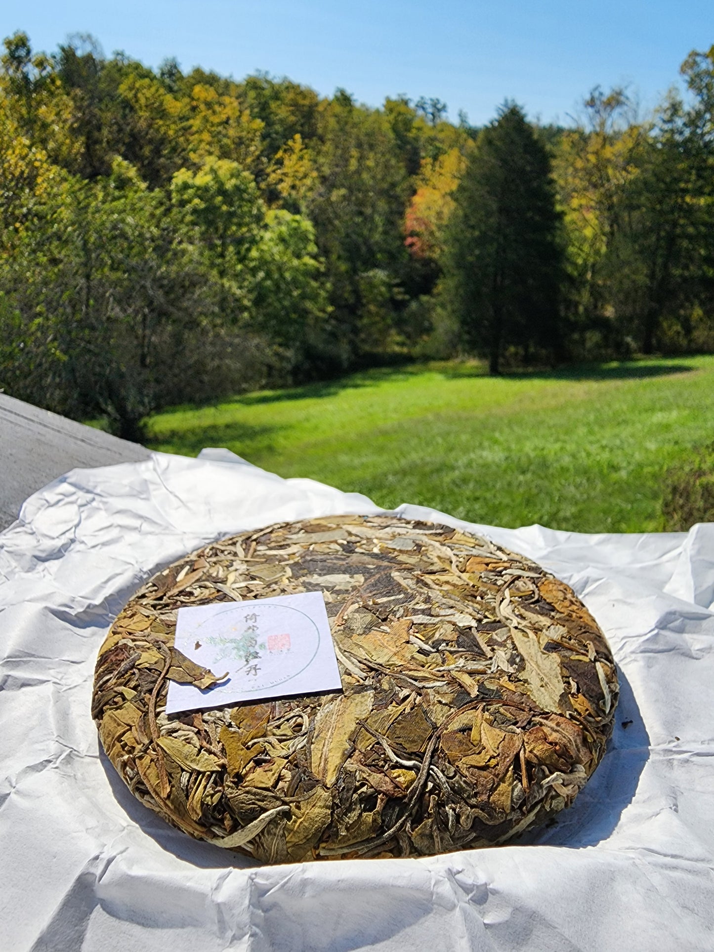 Yibang Mountain 2024 White Peony Tea Cake 200g