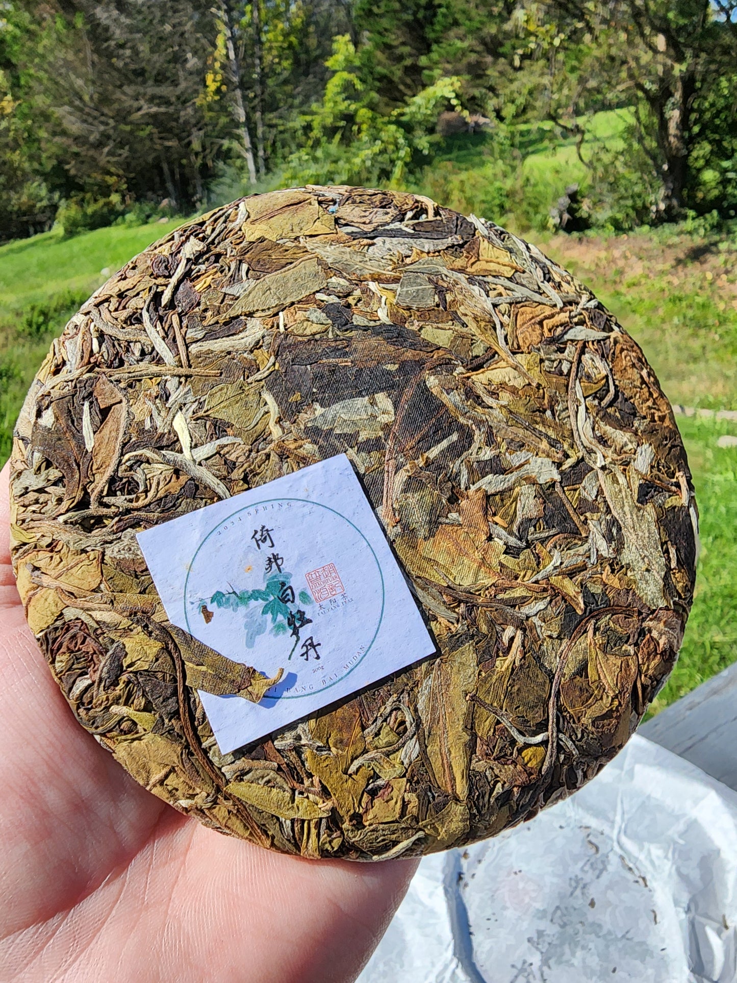 Yibang Mountain 2024 White Peony Tea Cake 200g