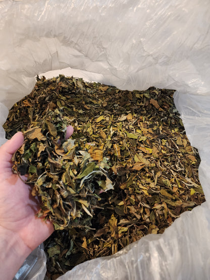 Yibang Mountain 2024 White Tea loose leaf -25g