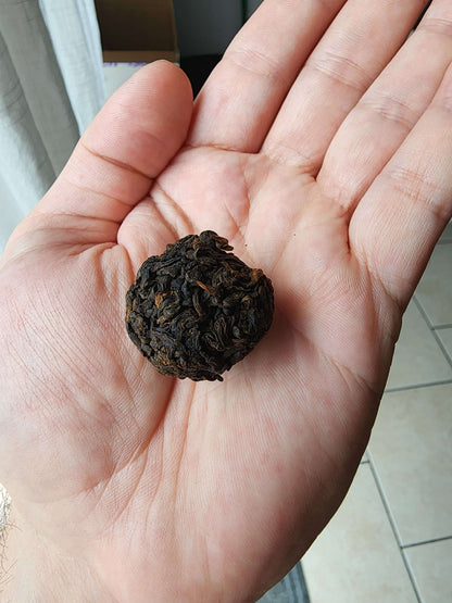 2011 Wild Tree Ripe Pu'erh mini ball